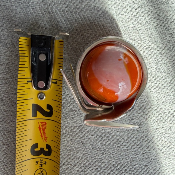 Marble Fork Snail - Picture 3 of 8